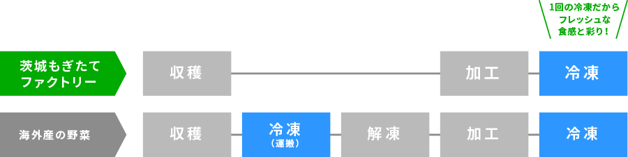 茨城もぎたてファクトリー:収穫ー加工ー冷凍 1回の冷凍だからフレッシュな食感と彩り! / 海外産や市場に出荷する野菜:収穫ー冷凍(運搬)ー解凍ー加工ー冷凍