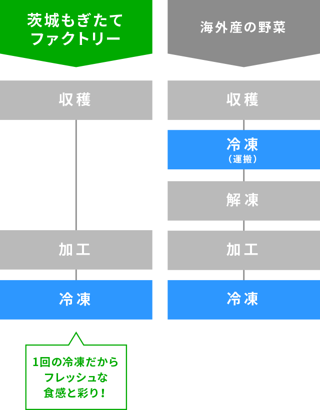 茨城もぎたてファクトリー：収穫ー加工ー冷凍 1回の冷凍だからフレッシュな食感と彩り！ /　海外産や市場に出荷する野菜：収穫ー冷凍（運搬）ー解凍ー加工ー冷凍